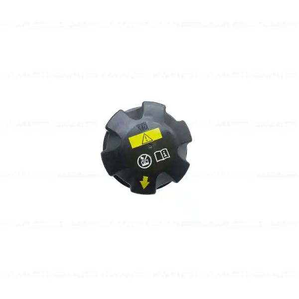 Buson/Capac vas expansiune - BMW Seria 1, Seria 2, Seria 3, Seria 4, Seria 5, Seria 6, Seria 7, Seria 8, Z4, i8, X1, X2, X3, X4, X5, X6, X7 Retur gratuit